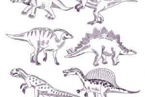 Wild life with dinosaurs. hand drawn illustrations set of t rex and other dino types