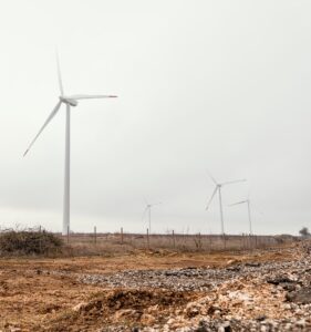 Wind turbines in the field generating electrical energy