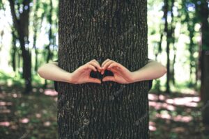 Womens hands hug a tree in the forest love for nature