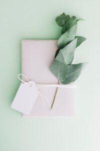 Wrapped white gift box with blank tag and twig on pastel background