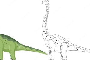 Brachiosaurus dinosaur with its doodle outline on white backgrou