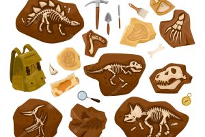 Dinosaur skeleton archaeological set of isolated images with tools backpack and ancient bones findings in stones vector illustration
