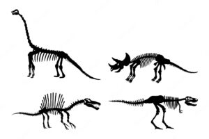 Dinosaur skeleton silhouette illustration vector set