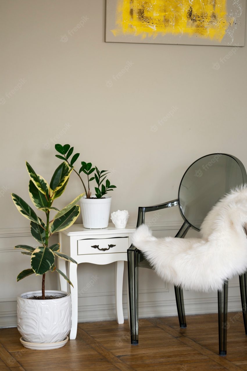 Interior room decor with potted plants