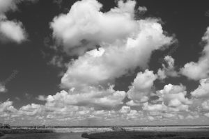 Mesmerizing view over the saint john's river in florida