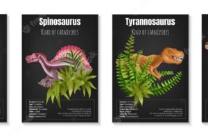 Realistic herbivore and carnivore dinosaurs poster set with information about parasaurolophus spinosaurus tyrannosaurus and velociraptor on black background isolated vector illustration