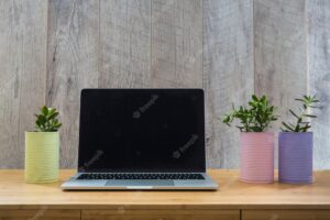 Three potted painted cans with an open laptop on table