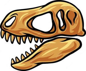 Tyrannosaurus dinosaur skull fossil