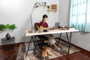 Young beautiful asian woman working at home with her pet